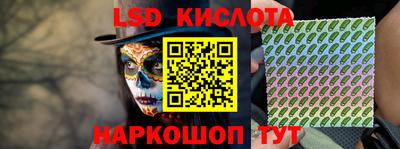 PSILOCYBIN Заволжье